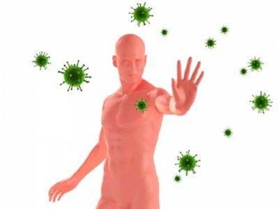 улучшение иммунитета при герпесе