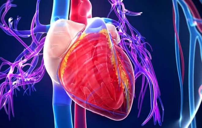 Аневризма левого желудочка в сердце