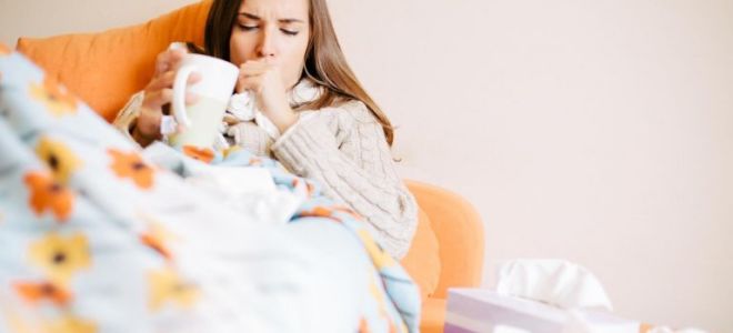 Чем следует лечить насморк при беременности во 2 триместре