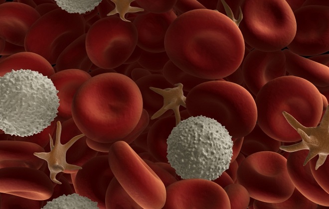 О чем говорят повышенные тромбоциты в крови у ребенка