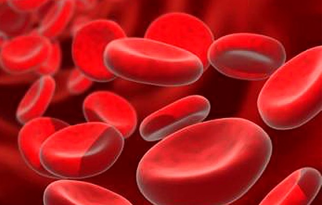 Клетки придающие крови красный цвет