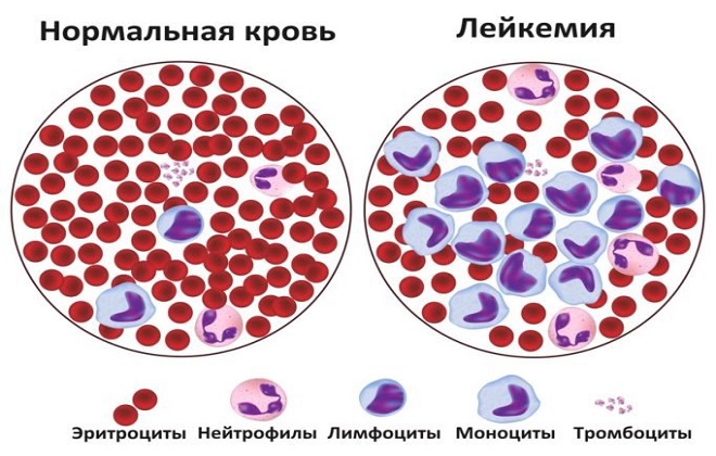 Красные и фиолетовые точки в кружке