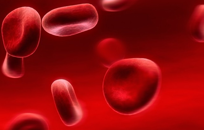 Характеристики крови по группам
