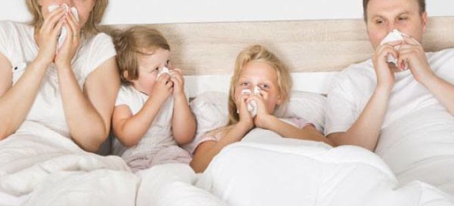 Как можно отличить аллергический насморк от простудного