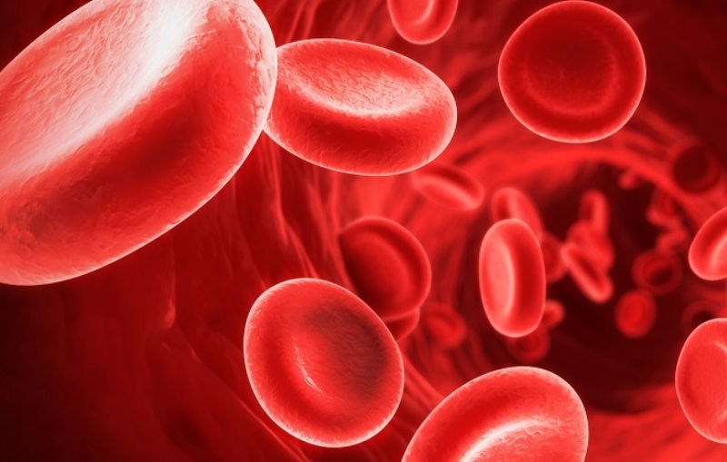 Повышенные эритроциты в крови у ребенка, взрослого – что это значит