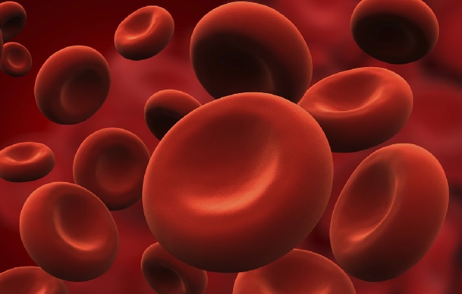 Эритроциты в анализе крови обозначаются разными аббревиатурами