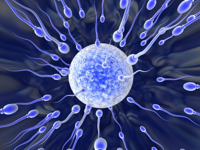 уротрин при простатите для улучшения качества спермы