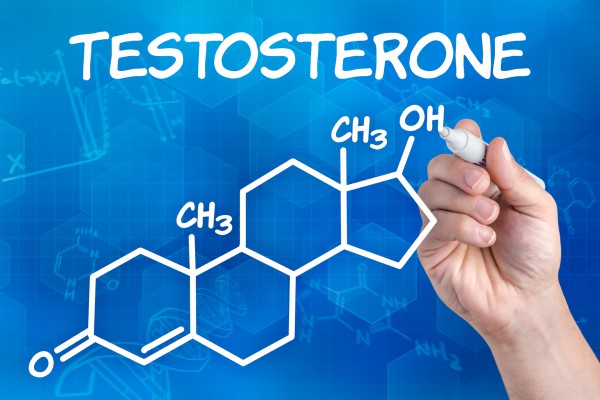тестостерон гормон