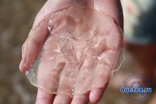 Медуза в руке - похожа на прозрачные сопли