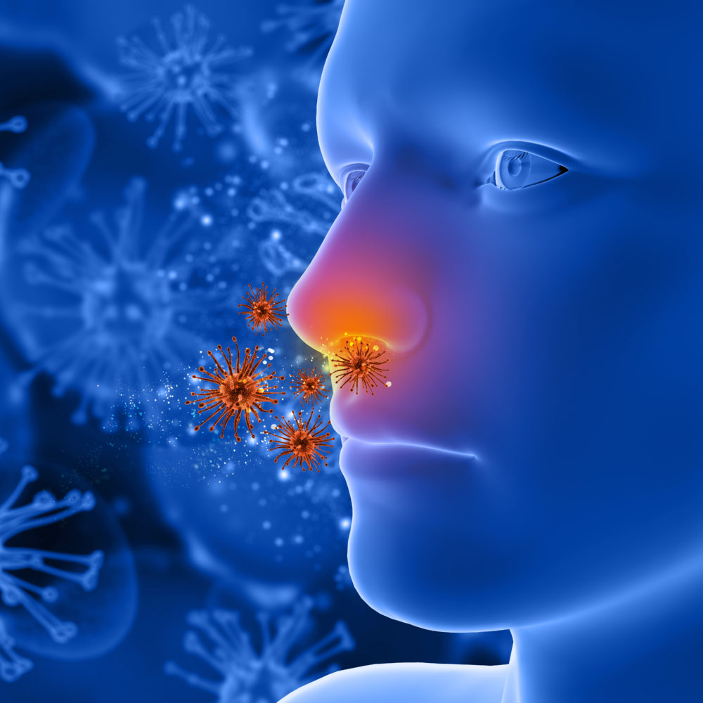 бактерии в нос
