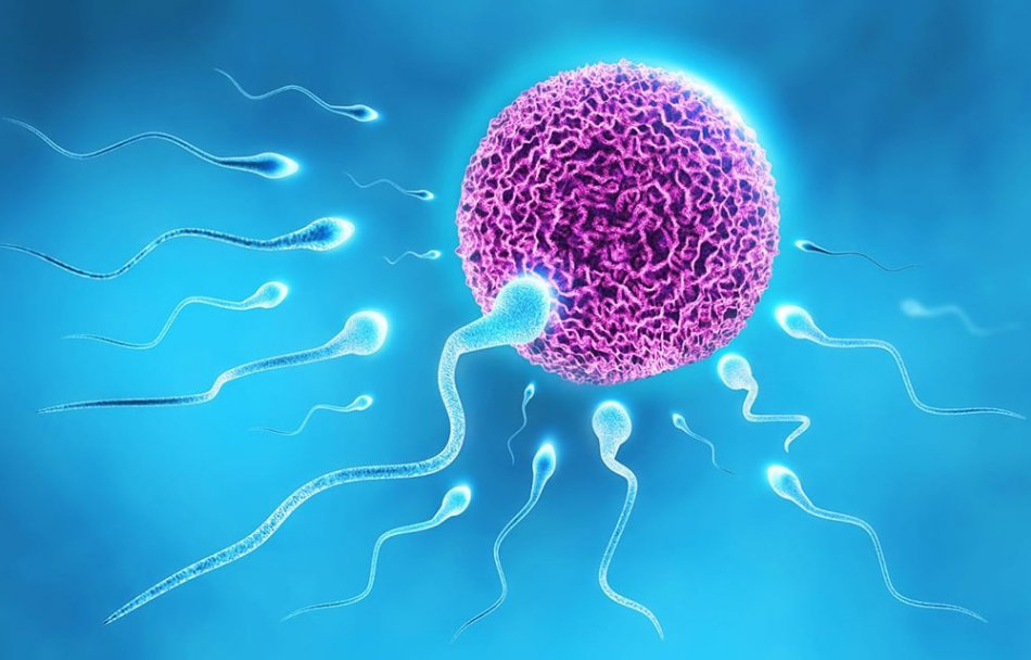 Как улучшить качество спермы