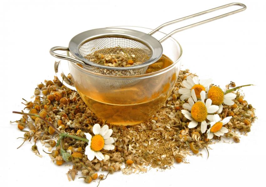 Польза и вред чая из ромашки, способы заварки ромашкового чая