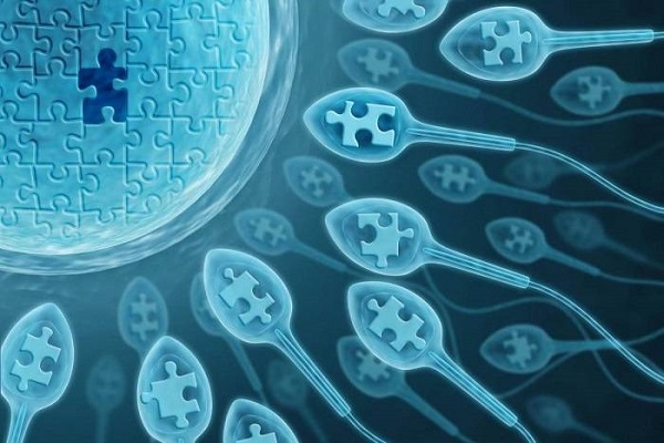 малоподвижность сперматозоидов
