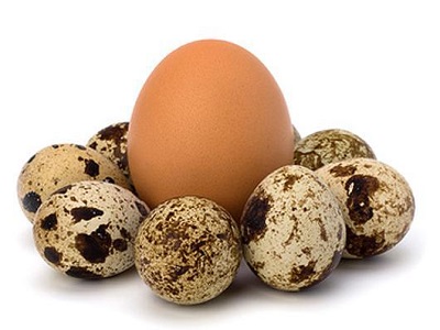 яйца перепелиные и куриные