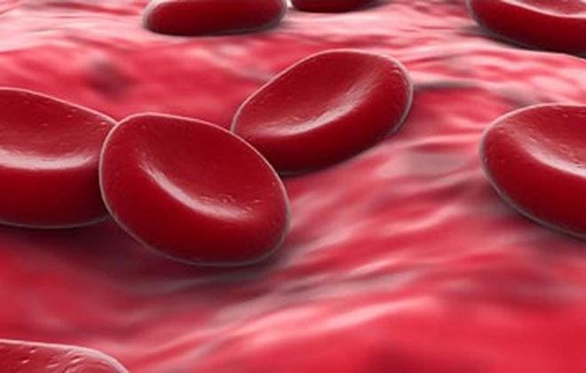 Красные тельца состава крови