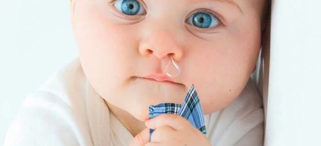 Чем лечить сильный насморк у ребенка в 8 месяцев
